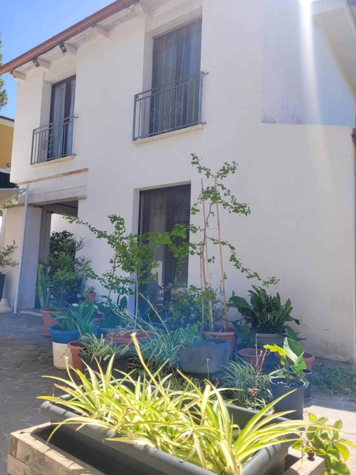 Villa La Conchiglia Rooms Cala Liberotto Exterior photo